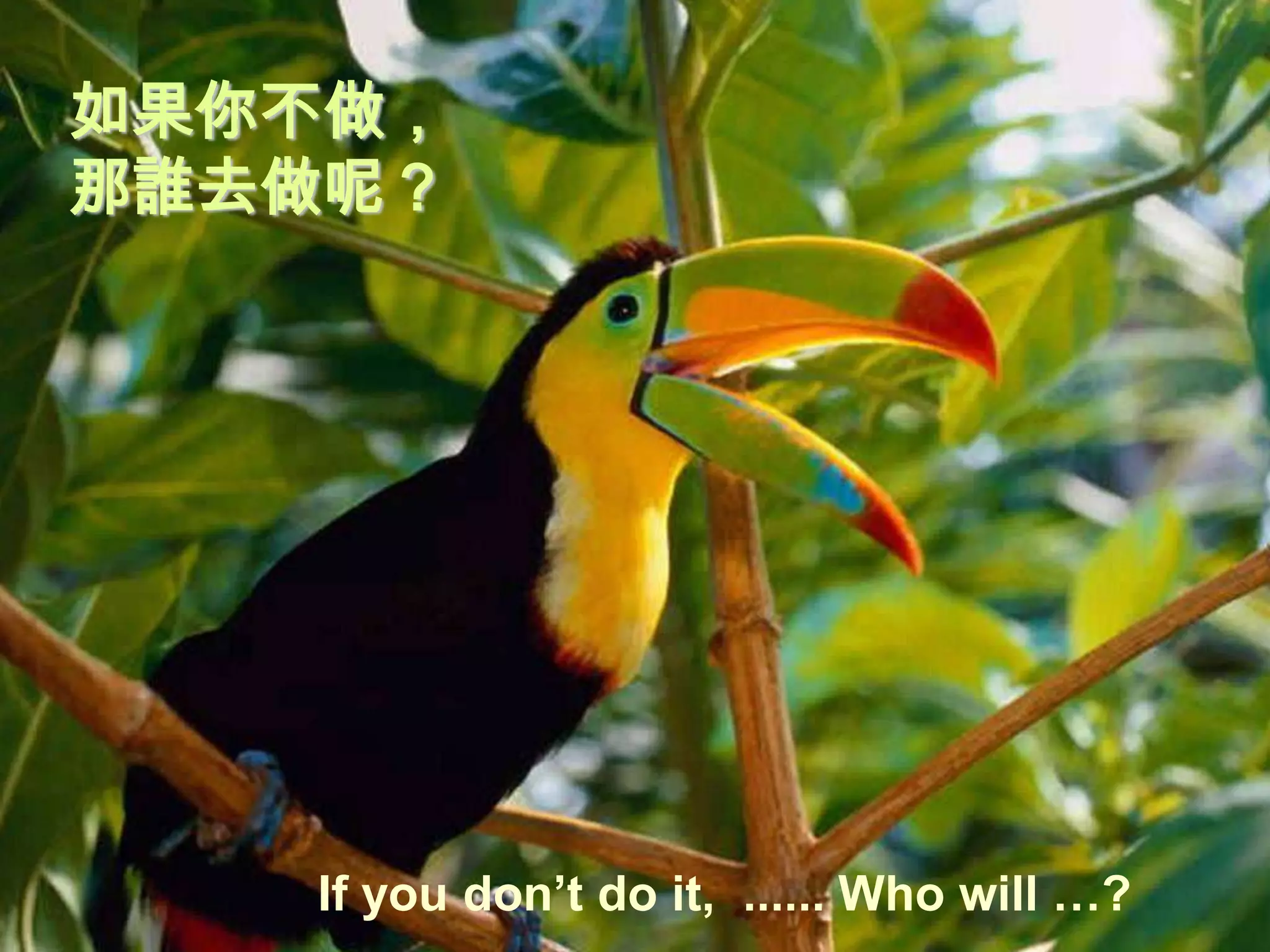 如果你不做，
那誰去做呢？




   If you don’t do it, ...... Who will …?
 