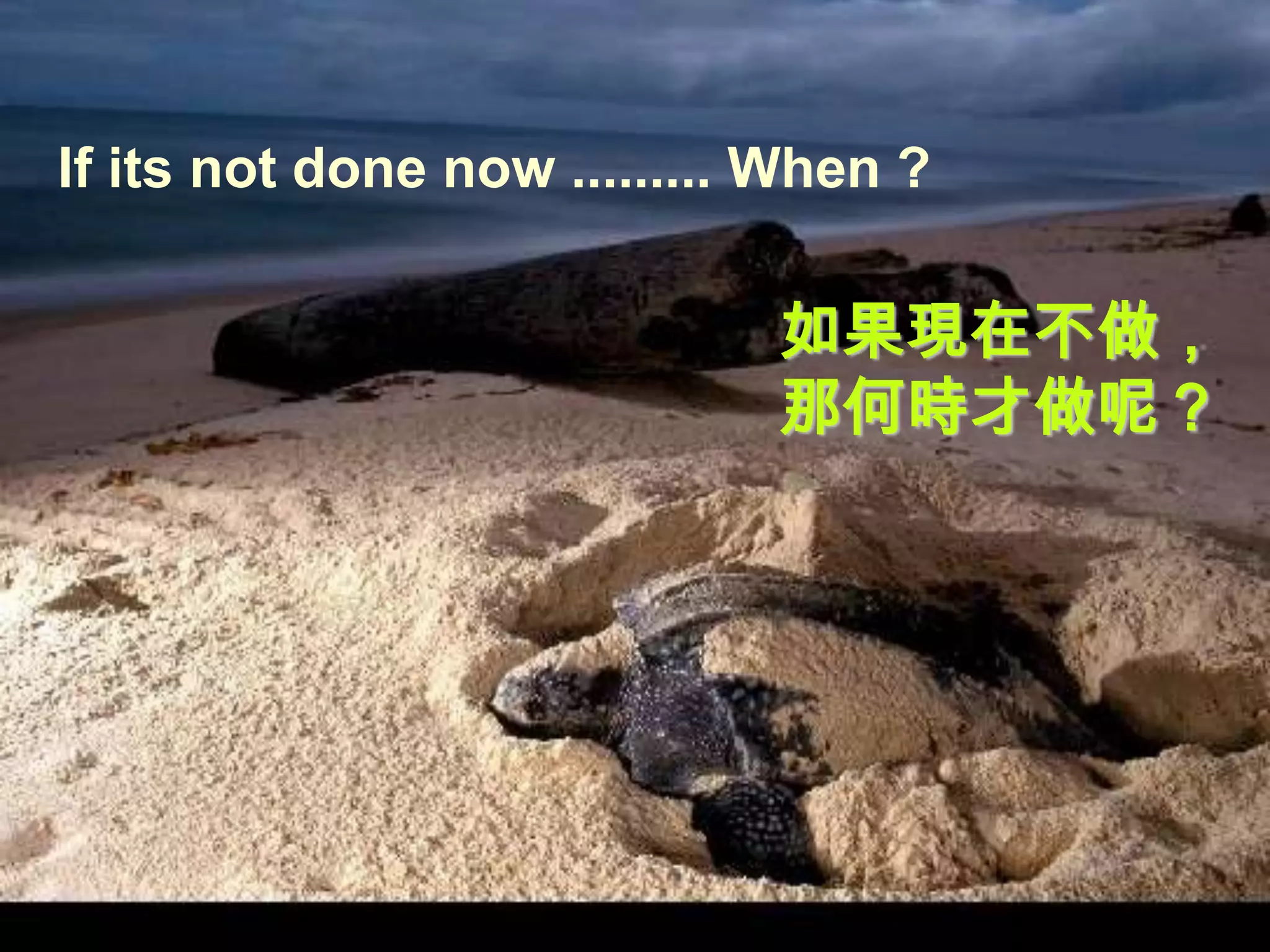 If its not done now ......... When ?

                             如果現在不做，
                             那何時才做呢？
 