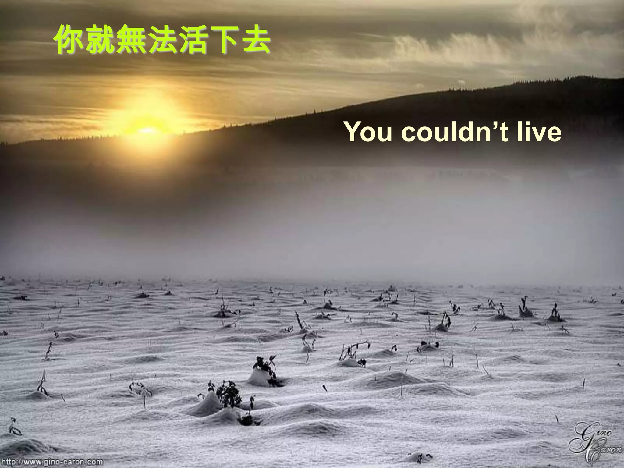 你就無法活下去

          You couldn’t live
 