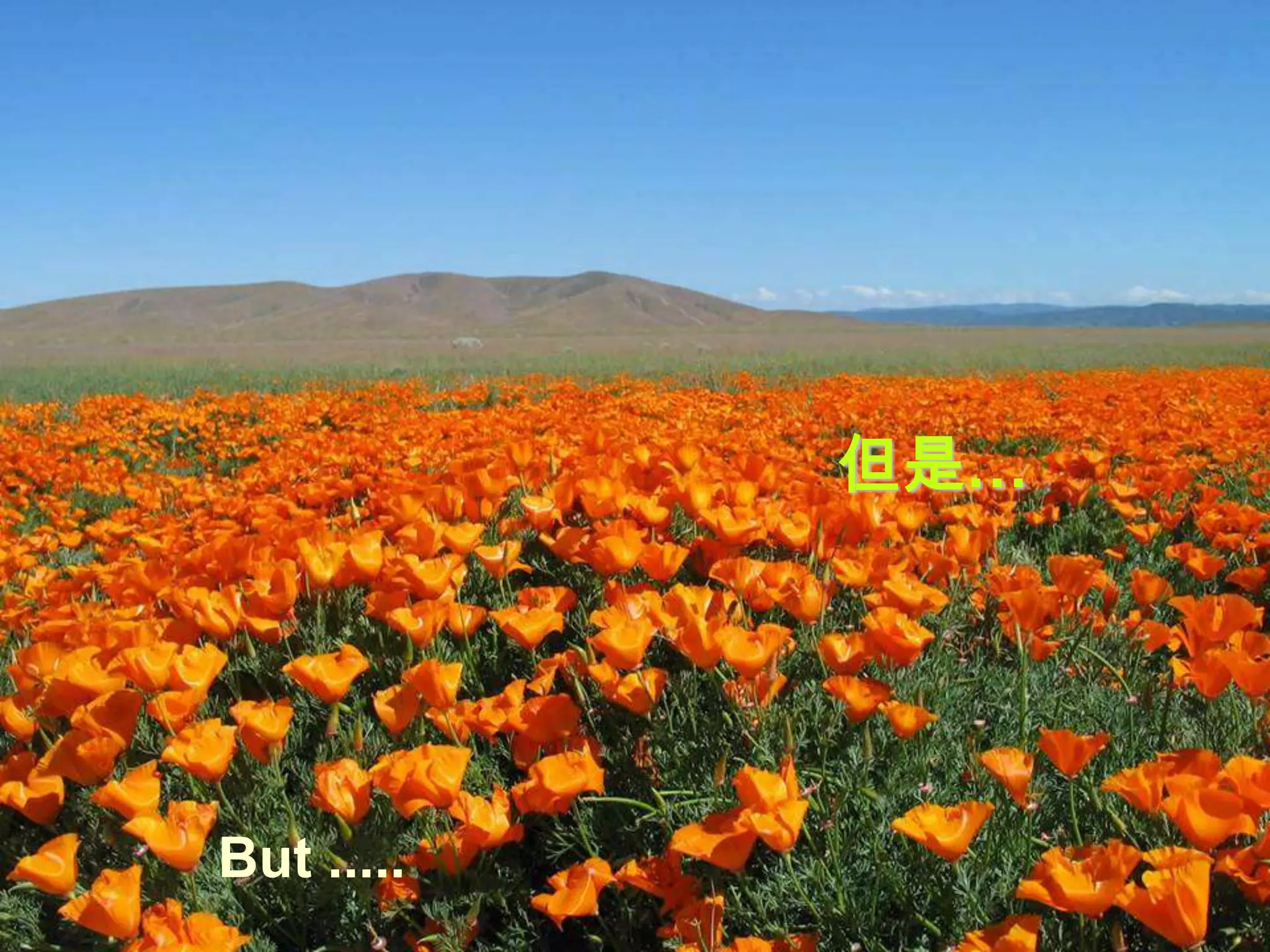 但是…




But .....
 