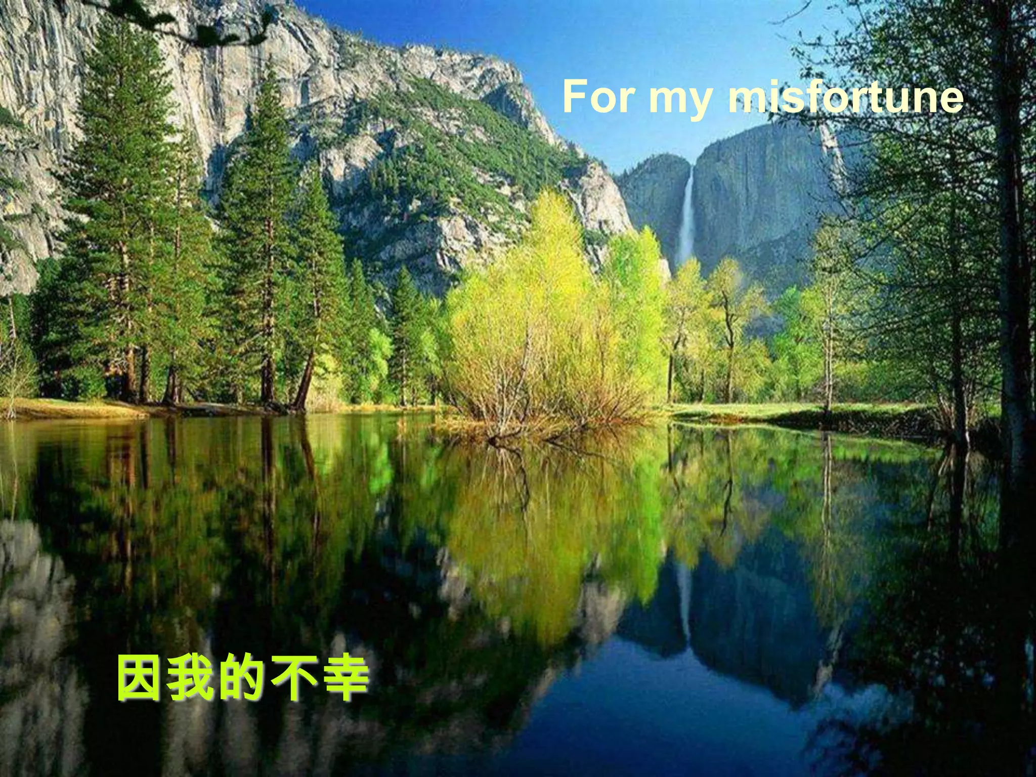 For my misfortune




因我的不幸
 