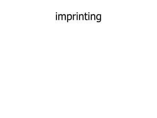 imprinting
 