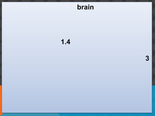 brain




1.4

              3
 