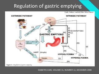 Regulation of gastric emptying




          DIABETES CARE, VOLUME 31, NUMBER 12, DECEMBER 2008
 