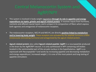 Central Melanocortin System and
                     AgRP/NPY
•   This system is involved in body weight regulation through its role in appetite and energy
    expenditure via leptin, grhelin and Agouti related protein. It receives inputs from hormone,
    nutrients and afferent neural inputs, and is unique in its composition of fibers which express
    both agonists and antagonists of melanocortin receptors.

•   The melanocortin receptors, MC3-R and MC4-R, are directly positive linked to metabolism
    and to lowering body weight. These receptors are activated by the peptide hormone α-MSH
    (melanocyte-stimulating hormone) and antagonized by the agouti-related protein.

•   Agouti-related protein also called Agouti-related peptide (AgRP) is a neuropeptide produced
    in the brain by the AgRP/NPY neuron. It is only synthesised in NPY containing cell bodies
    located in the ventromedial part of the arcuate nucleus in the hypothalamus. AgRP is co-
    expressed with Neuropeptide Y and works by increasing appetite and decreasing metabolism
    and energy expenditure ( increased weight ). It is one of the most potent and long-lasting of
    appetite stimulators
 