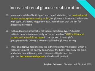 Increased renal glucose reabsorption
 In animal models of both type 1 and type 2 diabetes, the maximal renal
  tubular reabsorptive capacity, or Tm, for glucose is increased. In humans
  with type 1 diabetes, Mogensen et al. have shown that the Tm for
  glucose is increased.

 Cultured human proximal renal tubular cells from type 2 diabetic
  patients demonstrate markedly increased levels of SGLT2 mRNA and
  protein and a fourfold increase in the uptake of -methyl-D-
  glucopyranoside (AMG), a nonmetabolizeable glucose analog

 Thus, an adaptive response by the kidney to conserve glucose, which is
  essential to meet the energy demands of the body, especially the brain
  and other neural tissues, which have an obligate need for
  glucose, becomes maladaptive in the diabetic patient


                                  Ralph A. DeFronzo Diabetes, Vol. 58, April 2009
 