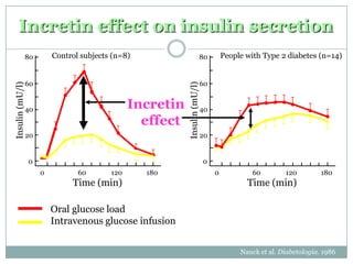 Incretin effect on insulin secretion
                 80       Control subjects (n=8)                            80       People with Type 2 diabetes (n=14)


                 60                                                         60




                                                           Insulin (mU/l)
Insulin (mU/l)




                 40                             Incretin                    40
                                                  effect
                 20                                                         20


                 0                                                          0
                      0          60       120      180                           0            60        120         180
                               Time (min)                                                   Time (min)

                          Oral glucose load
                          Intravenous glucose infusion


                                                                                          Nauck et al. Diabetologia. 1986
 