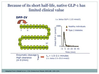 Because of its short half-life, native GLP-1 has
               limited clinical value
             DPP-IV
                                                                             i.v. bolus GLP-1 (15 nmol/l)



                  His Ala Glu Gly Thr Phe Thr Ser Asp                             1000            Healthy individuals




                                                                Intact GLP-1 (pmol/l)
                                                        Val                                       Type 2 diabetes
                   7          9
                                                        Ser
                                                                                        500
                       Lys Ala Ala Gln Gly Glu Leu Tyr Ser
                 Glu


                Phe                                   37
                                                                                          0
                   Ile Ala Trp Leu Val Lys Gly Arg Gly
                                                                                           –5 5 15 25 35 45
                                                                                               Time (min)
              Enzymatic cleavage                       t½ = 1.5–2.1 minutes
              High clearance                           (i.v. bolus 2.5–25.0 nmol/l)
              (4–9 l/min)




Adapted from Vilsbøll et al. J Clin Endocrinol Metab 2003;88: 220–224.
 