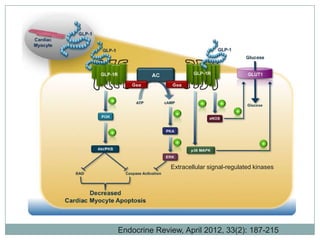 Linagliptin significantly lowers albuminuria vs.
               placebo in pooled phase III study data
Albuminuria:                                                                 24 weeks treatment
                                                                             Effect of linagliptin on albuminuria in humans
• Early marker for renal
  damage                                                                     Adjusted mean change in albuminuria (24 weeks)

• Marker for endothelial                                                                            Placebo     Lina
  dysfunction
• Cardiovascular risk factor
                                                                                                          -4%
• Lowering of albuminuria
  might be associated with
                                                                                                     -29%
  kidney & CV protection                                                                           p < 0.05
                                                                                                                -33%
                                                                                  n                       59    168

                                                                                    -29% in albuminuria vs. placebo
                                                                                       after 24wks treatment*
* This was achieved on the background of ACE/ARB, n=2472


 Poster: 953-P, American Diabetes Association 72nd Scientific Sessions, June 8–12, 2012, Philadelphia, USA.
 