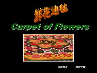 Carpet of Flowers



          自動換頁   請開音響
 