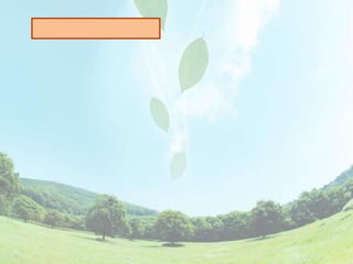 กิจกรรมการทดลอง