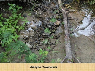 Вторая Лешаковка
 