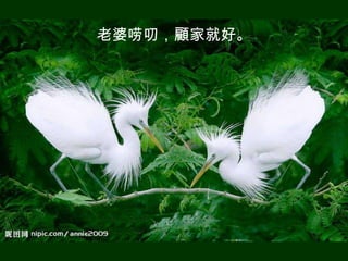 老婆唠叨，顧家就好。
 