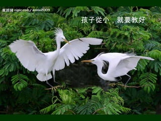 孩子從小，就要教好。
 