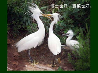 博士也好，賣菜也好。
 