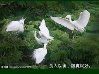 長大以後，誠實就好。
 