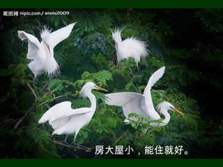 房大屋小，能住就好。
 