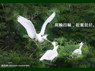 兩輪四輪，能駕就好。
 