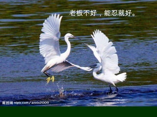 老板不好，能忍就好。
 