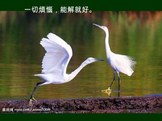 一切煩惱，能解就好。
 