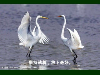 堅持執着，放下最好。
 