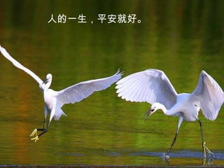 人的一生，平安就好。
 
