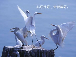 心好行好，命就能好。
 