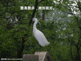 誰是誰非，神知就好。
 