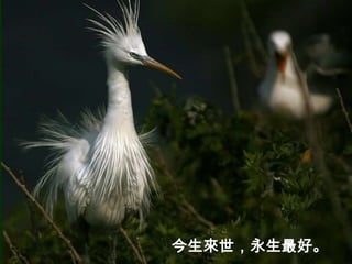 今生來世，永生最好。
 