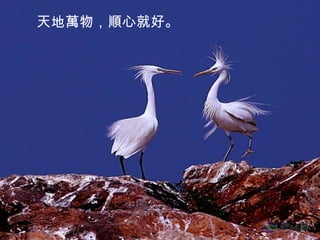 天地萬物，順心就好。
 