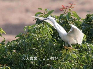 人人喜樂，日日都好。
 