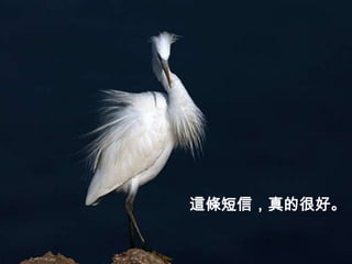 這條短信，真的很好。
 