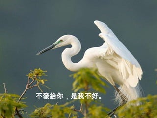 這條短信，真的很好。
不發給你，是我不好。
 