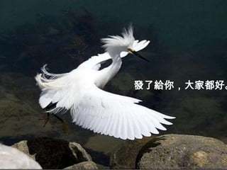 不發给你，是我不好。




             發了給你，大家都好。
 