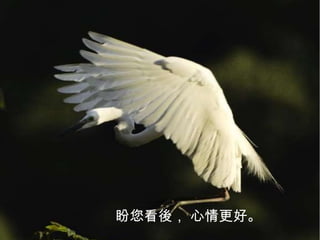 盼您看後， 心情更好。
 