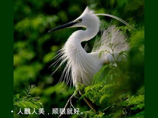 • 人醜人美，顺眼就好。
 