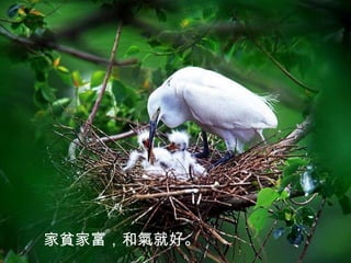 家貧家富，和氣就好。
 