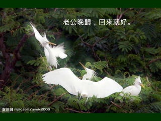 老公晚歸，回來就好。




老公晚歸，回來就好。
 