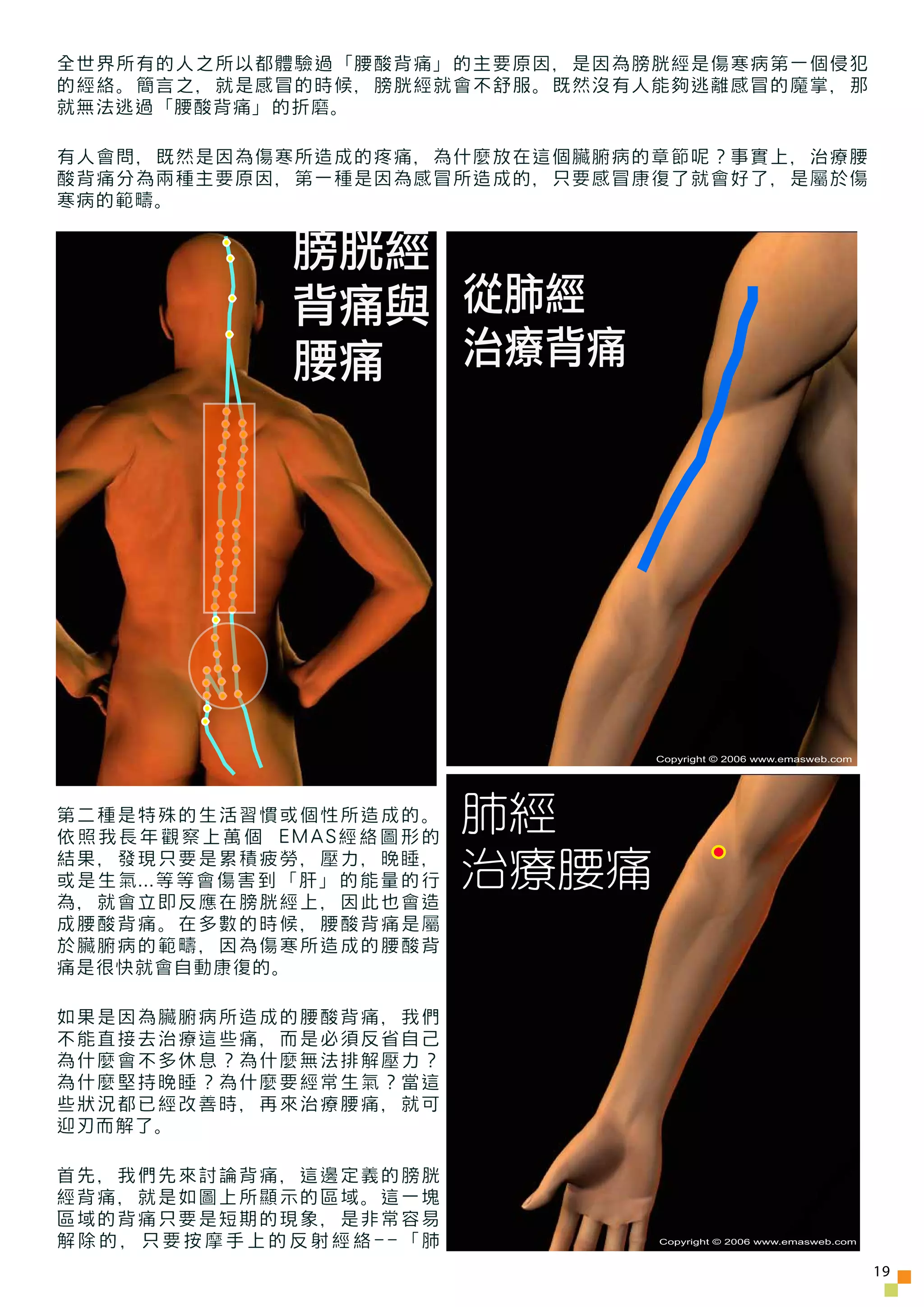 全世界所有的人之所以都體驗過「腰酸背痛」的主要原因，是因為膀胱經是傷寒病第一個侵犯
的經絡。簡言之，就是感冒的時候，膀胱經就會不舒服。既然沒有人能夠逃離感冒的魔掌，那
就無法逃過「腰酸背痛」的折磨。

有人會問，既然是因為傷寒所造成的疼痛，為什麼放在這個臟腑病的章節呢？事實上，治療腰
酸背痛分為兩種主要原因，第一種是因為感冒所造成的，只要感冒康復了就會好了，是屬於傷
寒病的範疇。


            膀胱經
            背痛與 從肺經
            腰痛  治療背痛




                               Copyright © 2006 www.emasweb.com




第二種是特殊的生活習慣或個性所造成的。
依照我長年觀察上萬個 EMAS經絡圖形的
                        肺經
結果，發現只要是累積疲勞，壓力，晚睡，
或是生氣...等等會傷害到「肝」的能量的行   治療腰痛
為，就會立即反應在膀胱經上，因此也會造
成腰酸背痛。在多數的時候，腰酸背痛是屬
於臟腑病的範疇，因為傷寒所造成的腰酸背
痛是很快就會自動康復的。

如果是因為臟腑病所造成的腰酸背痛，我們
不能直接去治療這些痛，而是必須反省自己
為什麼會不多休息？為什麼無法排解壓力？
為什麼堅持晚睡？為什麼要經常生氣？當這
些狀況都已經改善時，再來治療腰痛，就可
迎刃而解了。

首先，我們先來討論背痛，這邊定義的膀胱
經背痛，就是如圖上所顯示的區域。這一塊
區域的背痛只要是短期的現象，是非常容易
解除的，只要按摩手上的反射經絡--「肺            Copyright © 2006 www.emasweb.com



                                                                  19
 