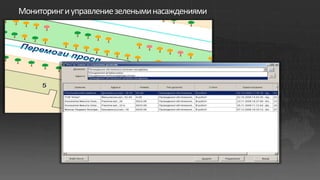 Мониторинг и управление зелеными насаждениями
 