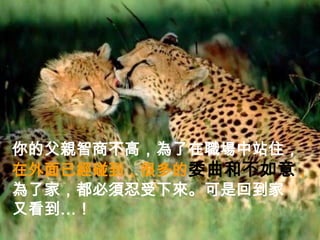 你的父親智商不高，為了在職場中站住，
在外面已經碰到，很多的委曲和不如意，
為了家，都必須忍受下來。可是回到家
又看到…！
 