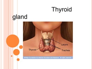Thyroid
gland
 