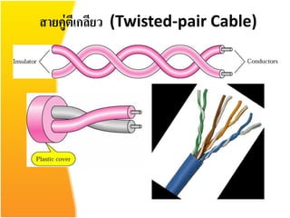สายคู่ตเี กลียว (Twisted-pair Cable)
 