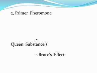 2. Primer Pheromone




           -
Queen Substance )

           - Bruce's Effect
 