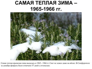 САМАЯ ТЕПЛАЯ ЗИМА –
                   1965-1966 гг.




Самая теплая крымская зима выдалась в 1965 - 1966 гг. Снег не лежал даже на яйлах. В Симферополе
за декабрь-февраль было отмечено 57 дней с оттепелью.
 