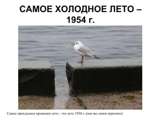 САМОЕ ХОЛОДНОЕ ЛЕТО –
               1954 г.




Самое прохладное крымское лето - это лето 1956 г. (оно же самое короткое)
 