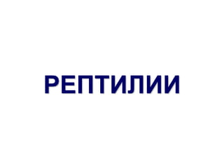 РЕПТИЛИИ
 