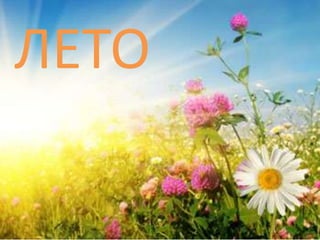 ЛЕТО
 