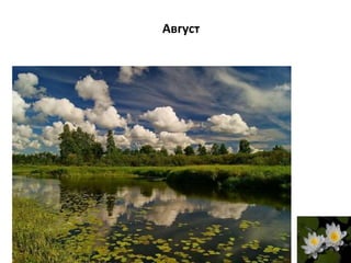 Август
 