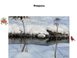 Февраль
 